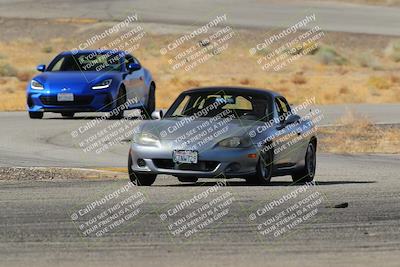 media/Feb-22-2025-Team Topak Racing (Sat) [[cb57a51a40]]/Beginner/Turns 13 and 14/